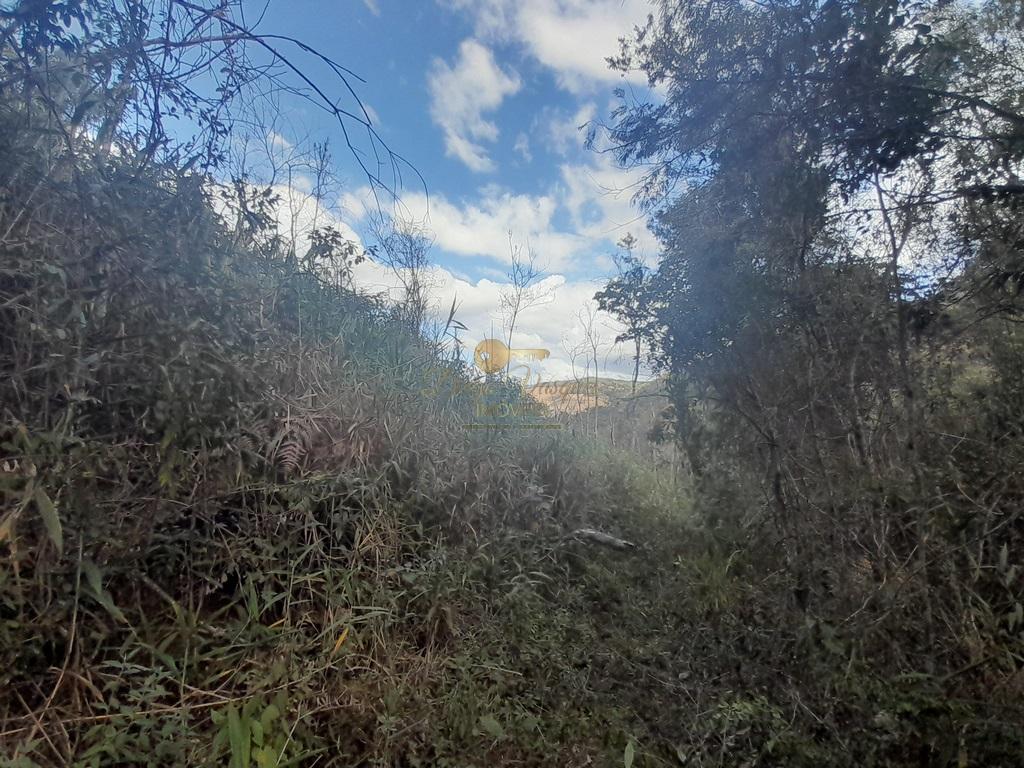 Terreno Residencial à venda em Vale Alpino, Teresópolis - RJ - Foto 28