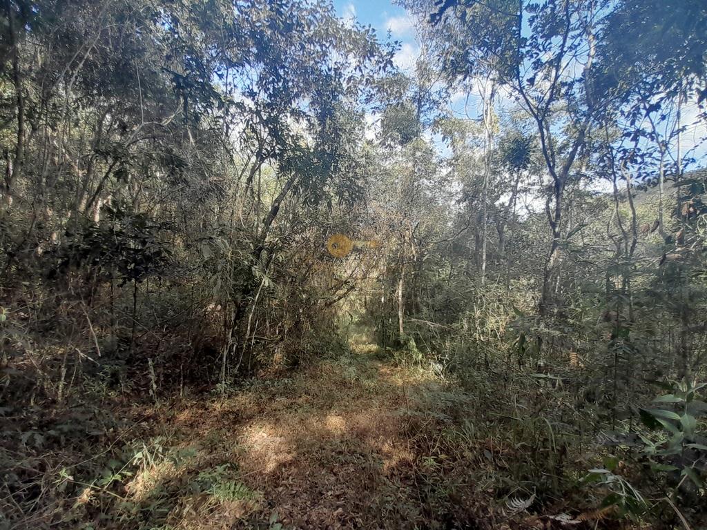 Terreno Residencial à venda em Vale Alpino, Teresópolis - RJ - Foto 31