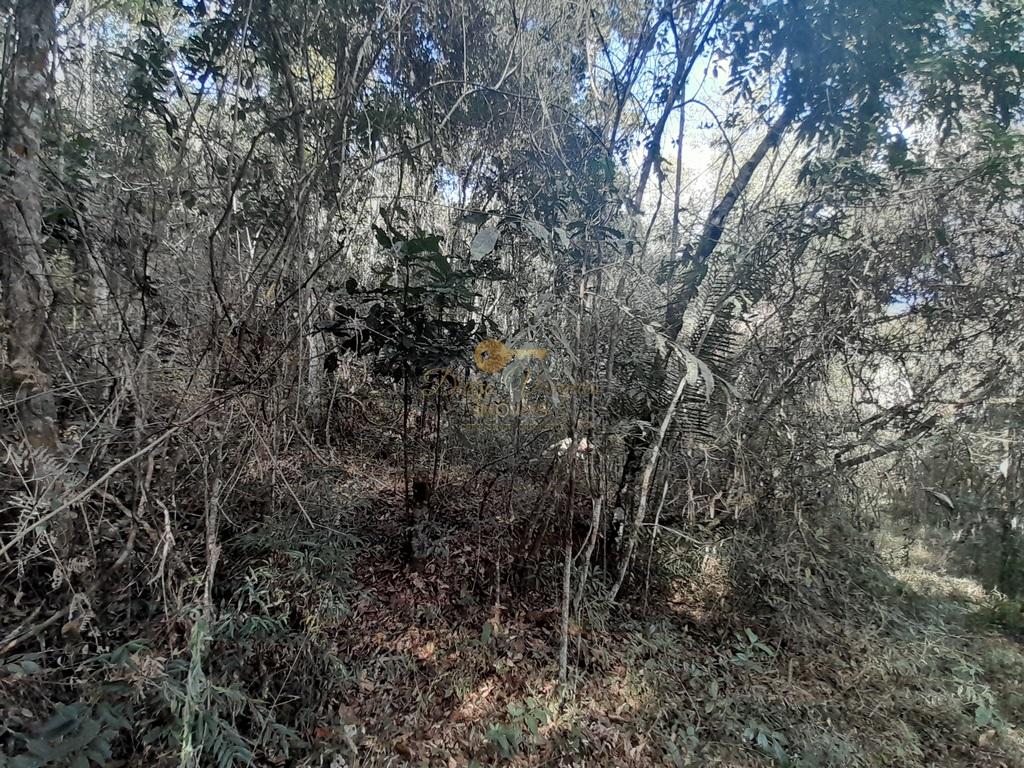 Terreno Residencial à venda em Vale Alpino, Teresópolis - RJ - Foto 32