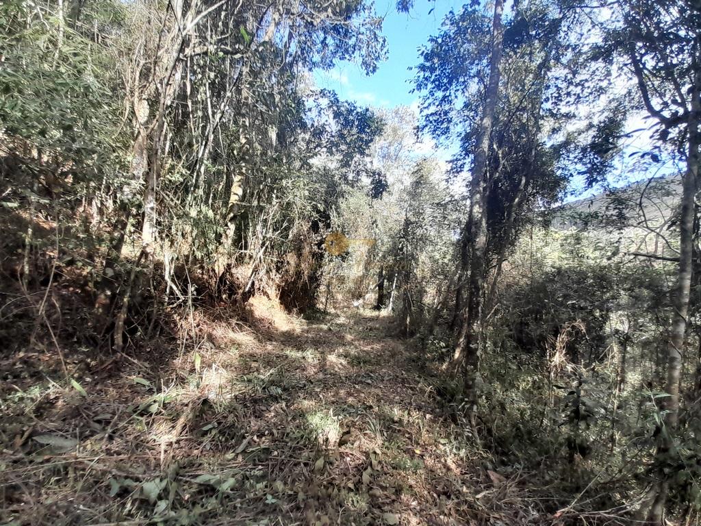 Terreno Residencial à venda em Vale Alpino, Teresópolis - RJ - Foto 34