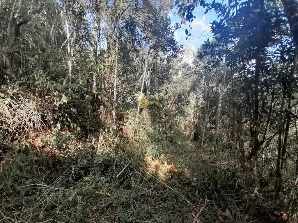 Terreno Residencial à venda em Vale Alpino, Teresópolis - RJ - Foto 33