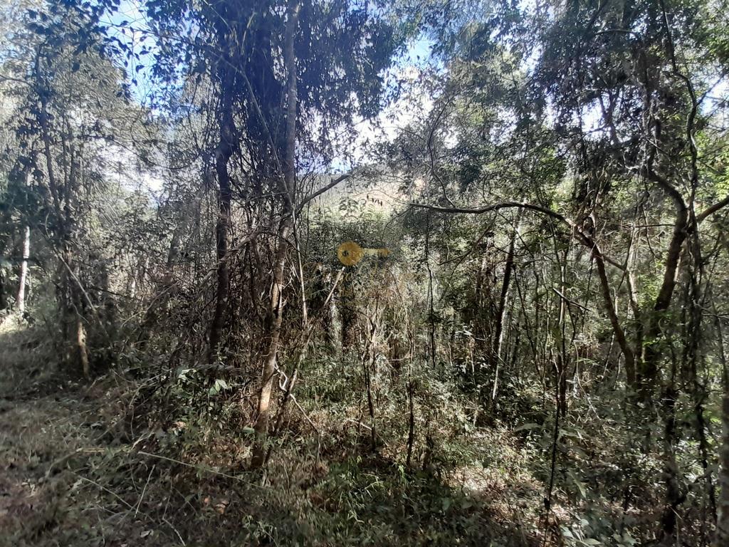 Terreno Residencial à venda em Vale Alpino, Teresópolis - RJ - Foto 37
