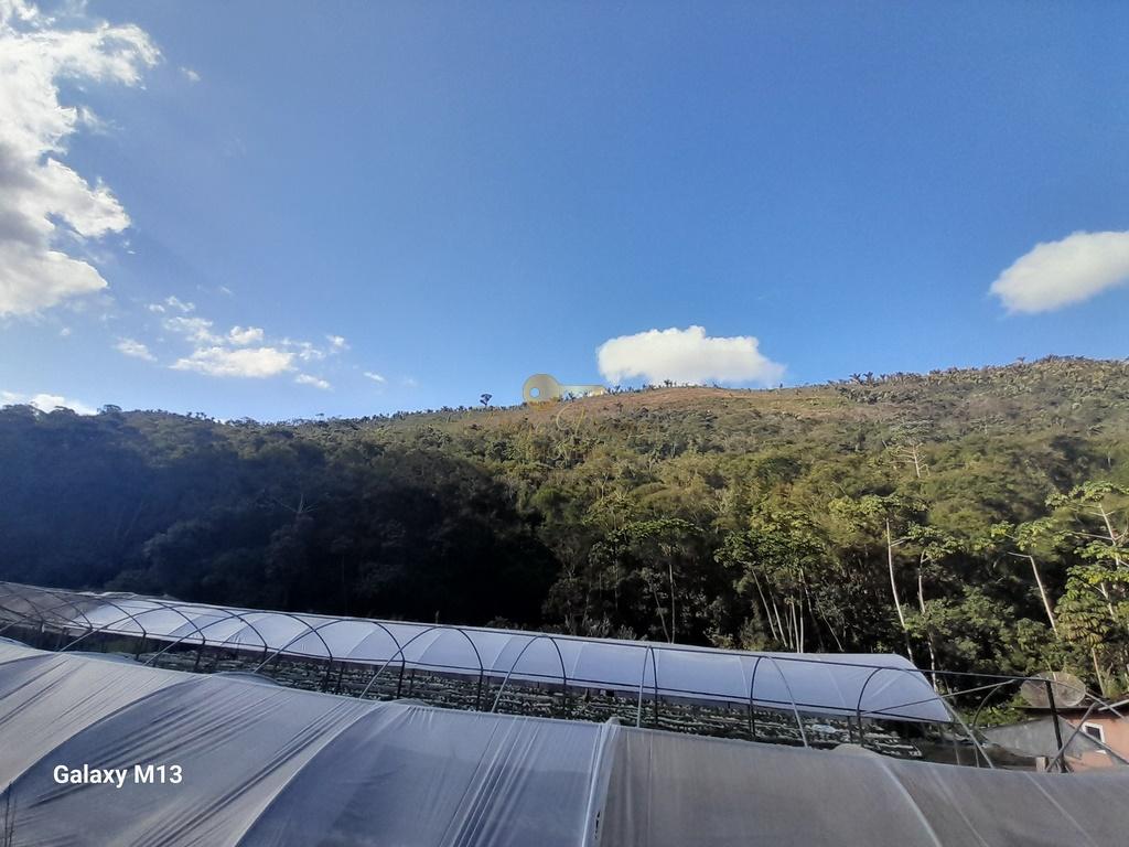 Terreno Residencial à venda em Vale Alpino, Teresópolis - RJ - Foto 38