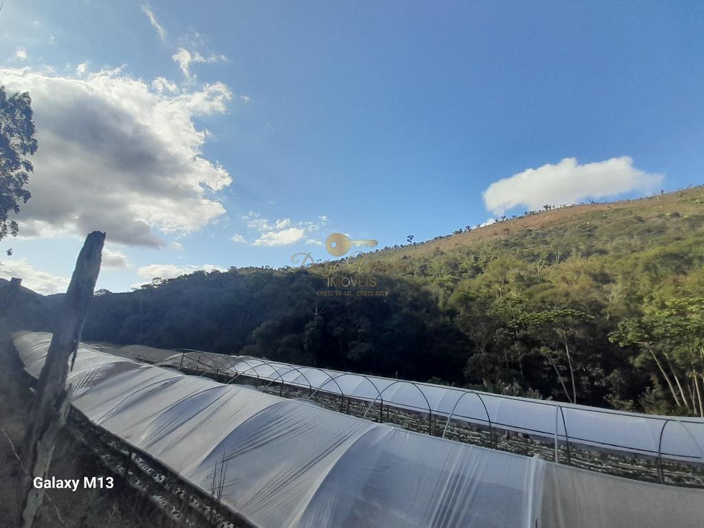 Terreno Residencial à venda em Vale Alpino, Teresópolis - RJ - Foto 40