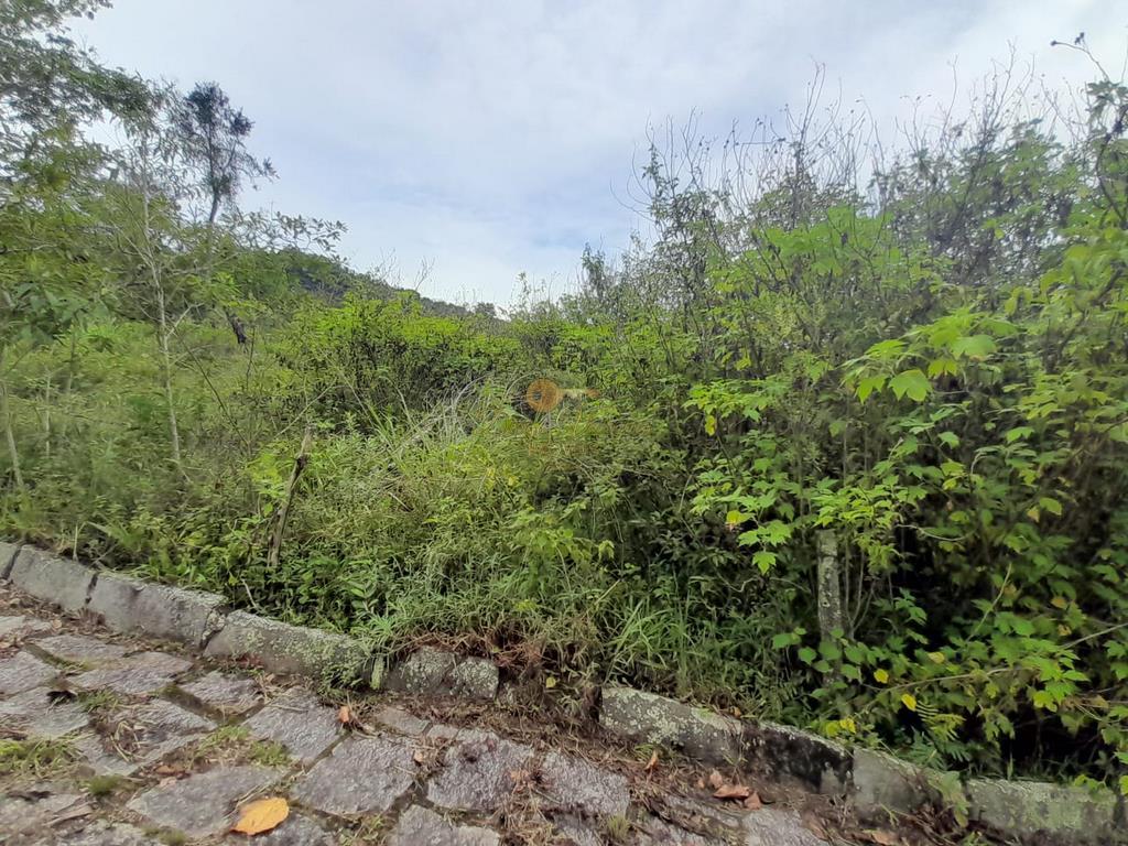 Terreno Residencial à venda em Colônia Alpina, Teresópolis - RJ - Foto 3
