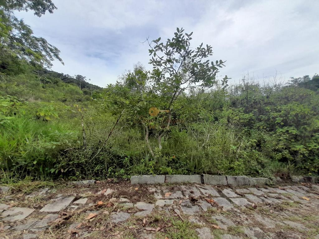 Terreno Residencial à venda em Colônia Alpina, Teresópolis - RJ - Foto 4