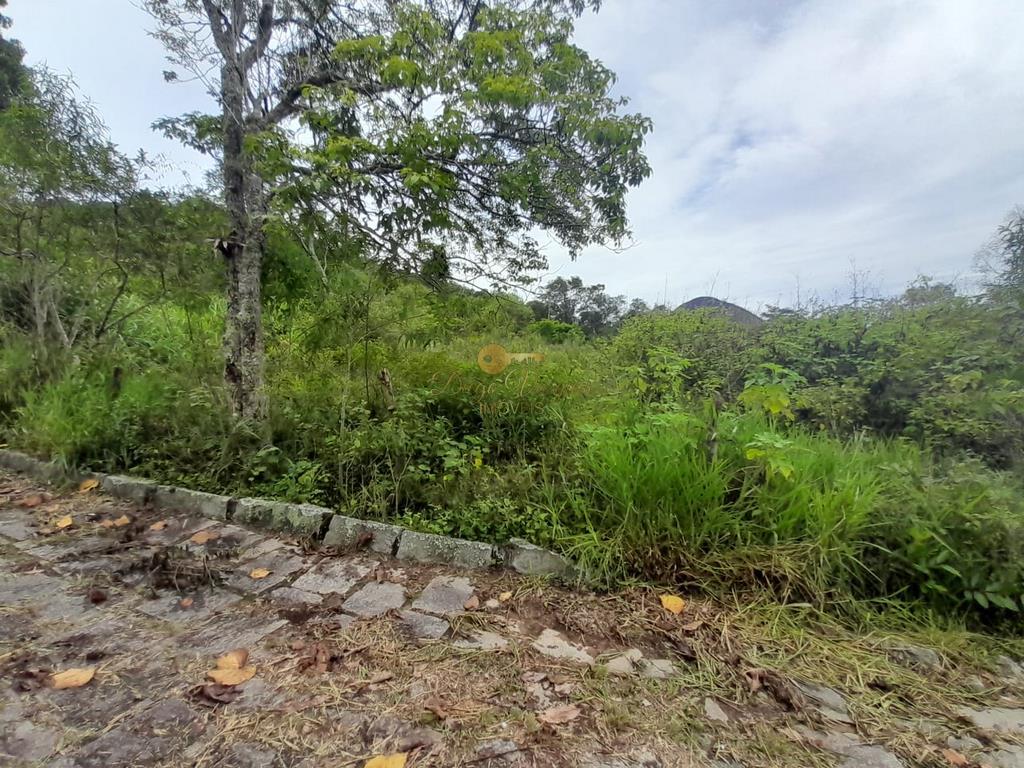 Terreno Residencial à venda em Colônia Alpina, Teresópolis - RJ - Foto 6