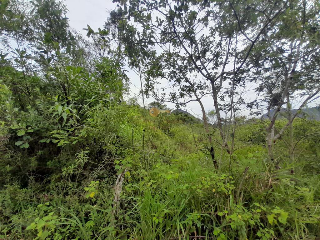 Terreno Residencial à venda em Colônia Alpina, Teresópolis - RJ - Foto 12