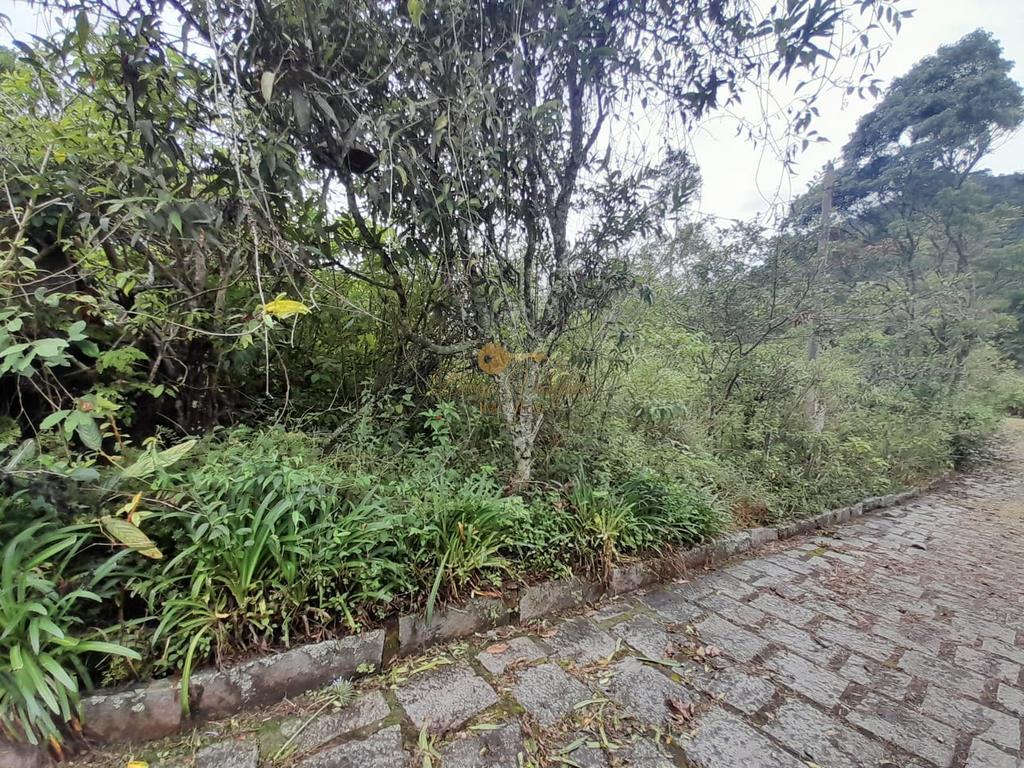 Terreno Residencial à venda em Colônia Alpina, Teresópolis - RJ - Foto 11
