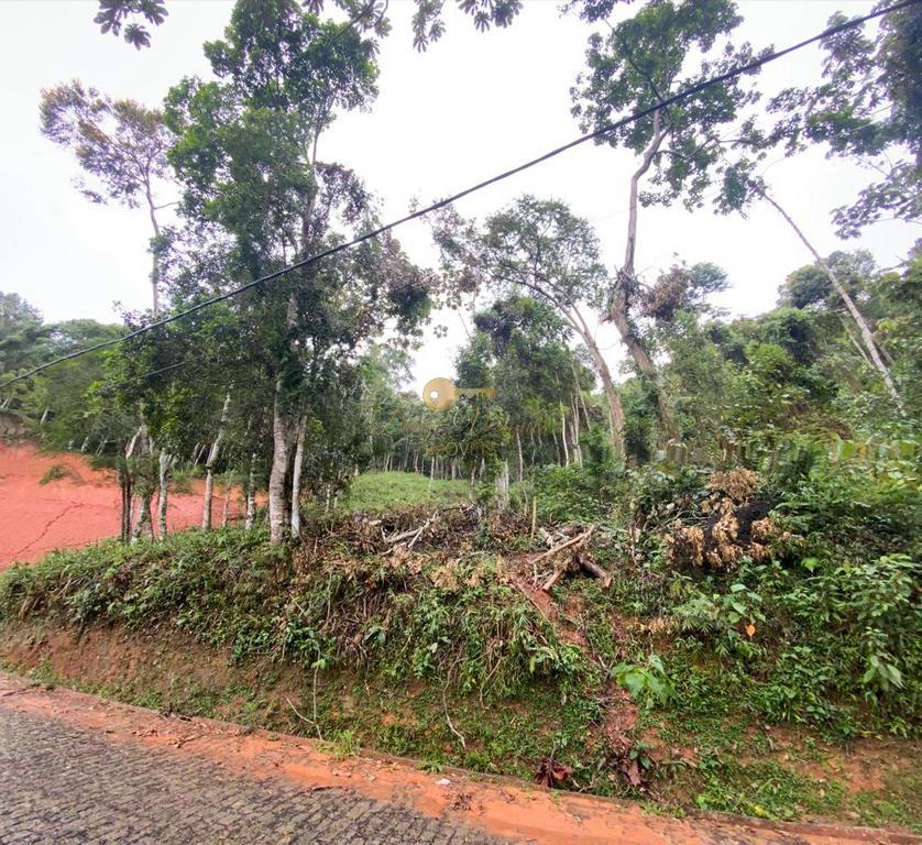 Terreno Residencial à venda em Parque do Imbui, Teresópolis - RJ - Foto 2