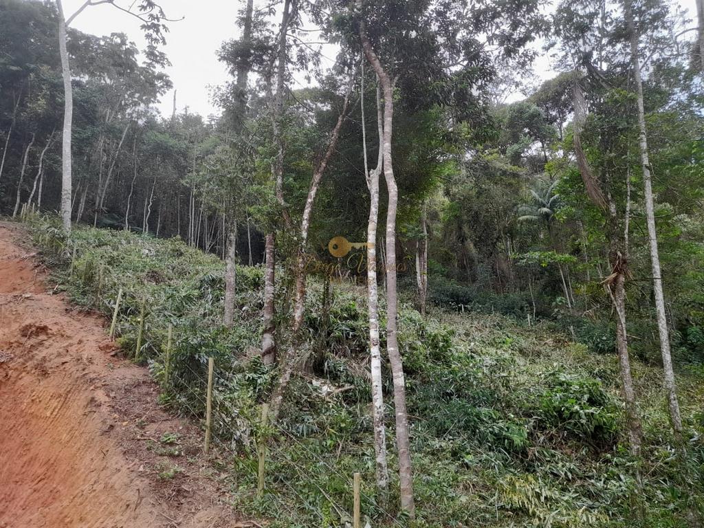 Terreno Residencial à venda em Parque do Imbui, Teresópolis - RJ - Foto 28