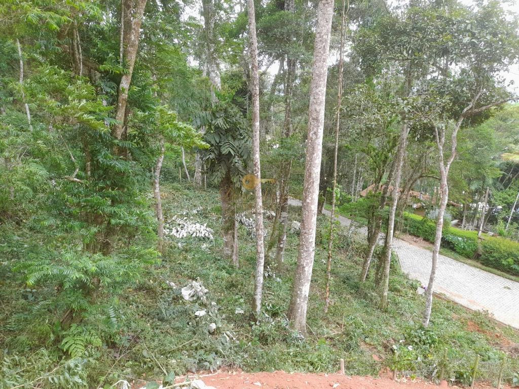 Terreno Residencial à venda em Parque do Imbui, Teresópolis - RJ - Foto 31