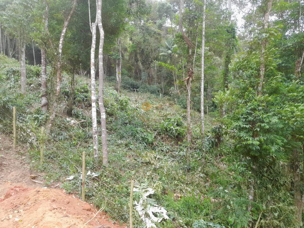 Terreno Residencial à venda em Parque do Imbui, Teresópolis - RJ - Foto 30