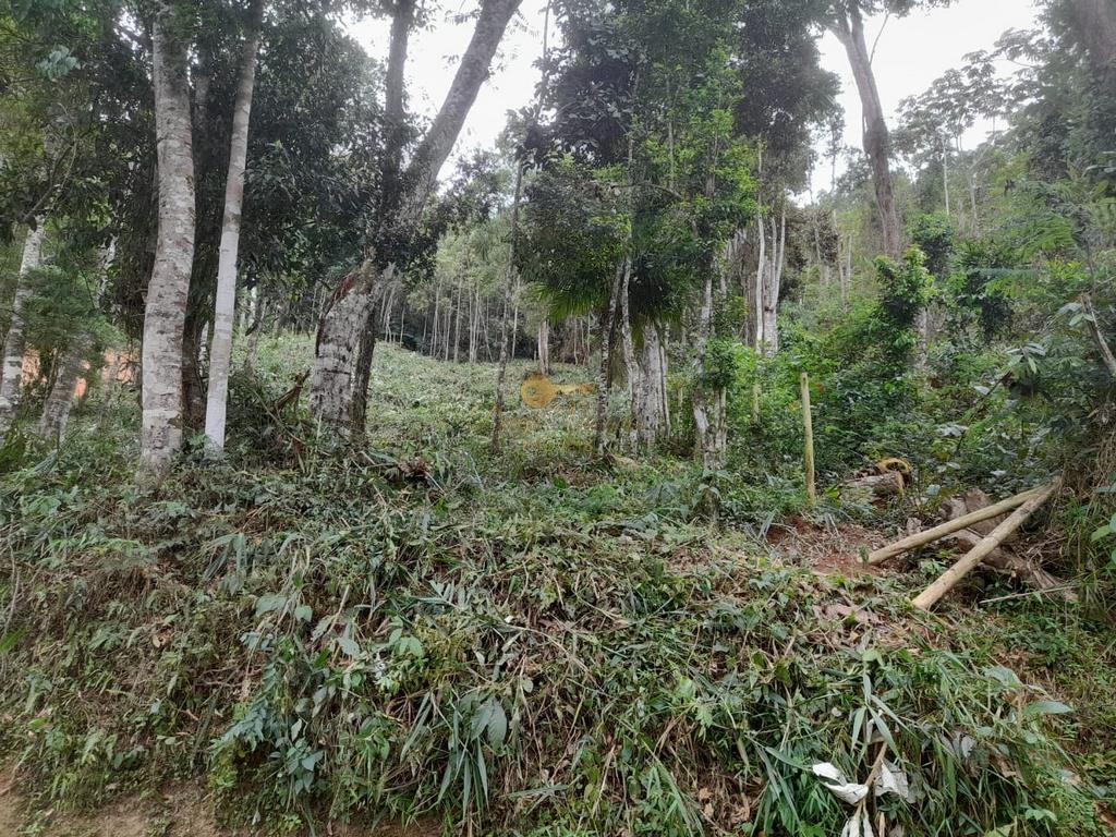 Terreno Residencial à venda em Parque do Imbui, Teresópolis - RJ - Foto 34