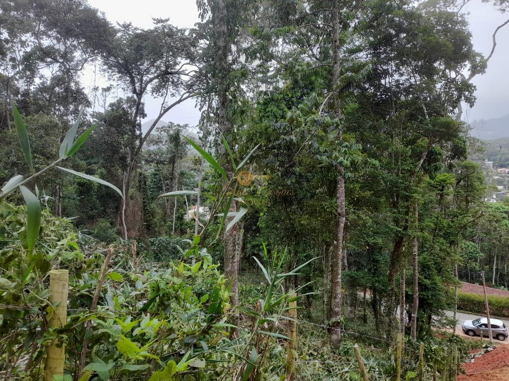Terreno Residencial à venda em Parque do Imbui, Teresópolis - RJ - Foto 32
