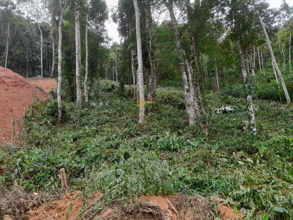 Terreno Residencial à venda em Parque do Imbui, Teresópolis - RJ - Foto 33