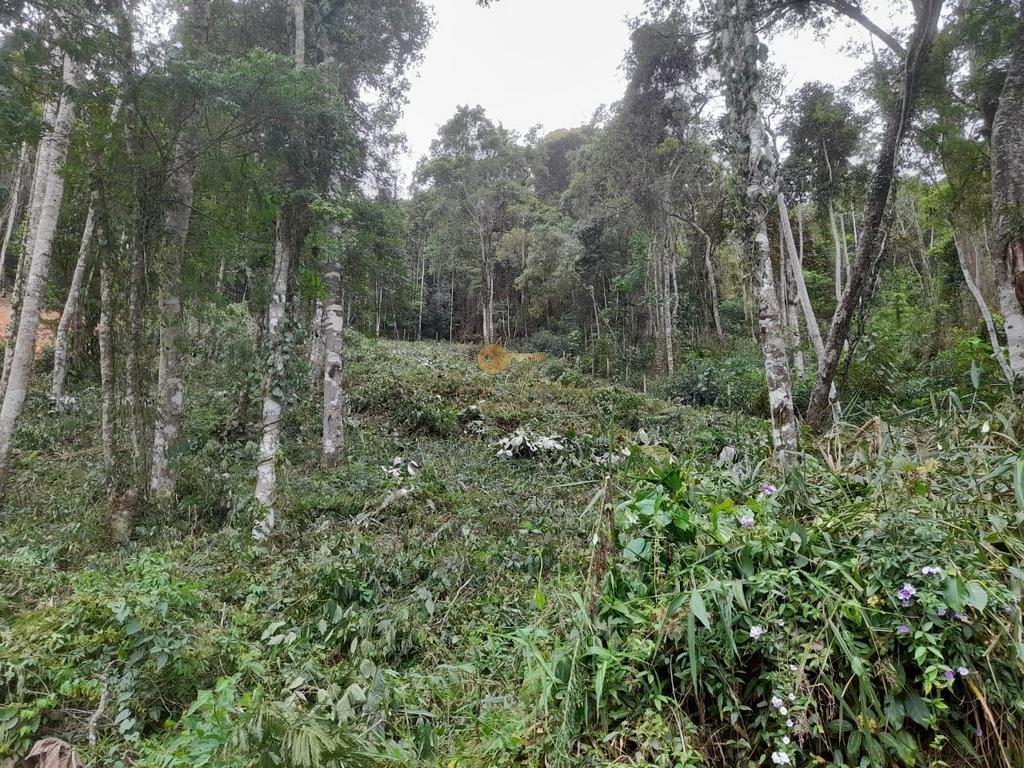 Terreno Residencial à venda em Parque do Imbui, Teresópolis - RJ - Foto 36