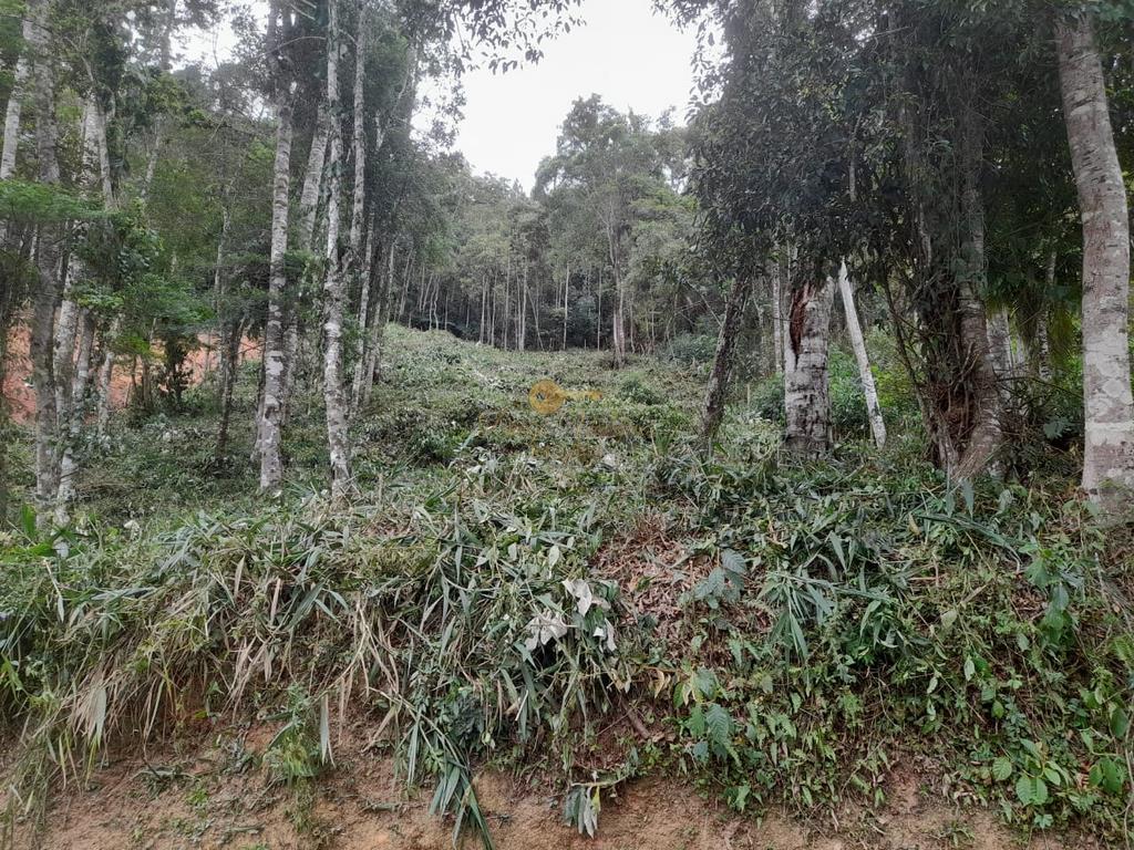 Terreno Residencial à venda em Parque do Imbui, Teresópolis - RJ - Foto 35