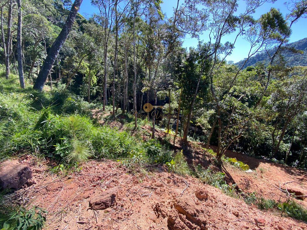 Terreno Residencial à venda em Carlos Guinle, Teresópolis - RJ - Foto 7