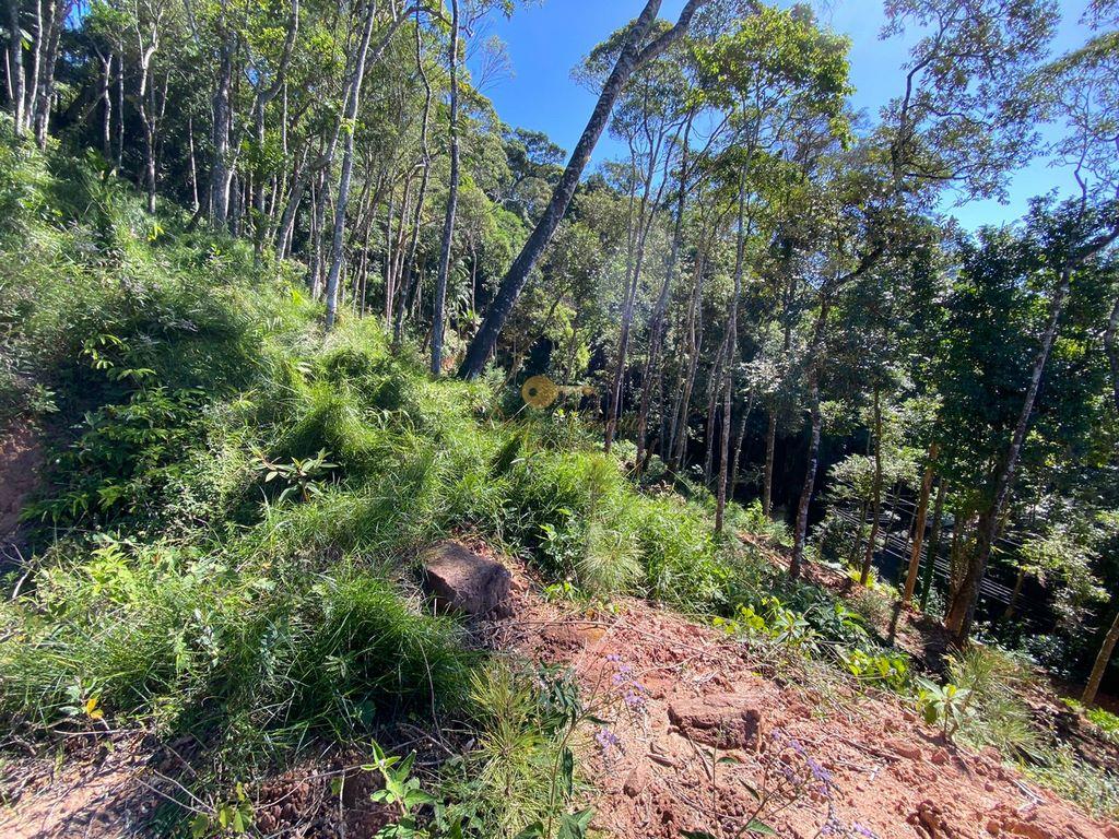 Terreno Residencial à venda em Carlos Guinle, Teresópolis - RJ - Foto 10