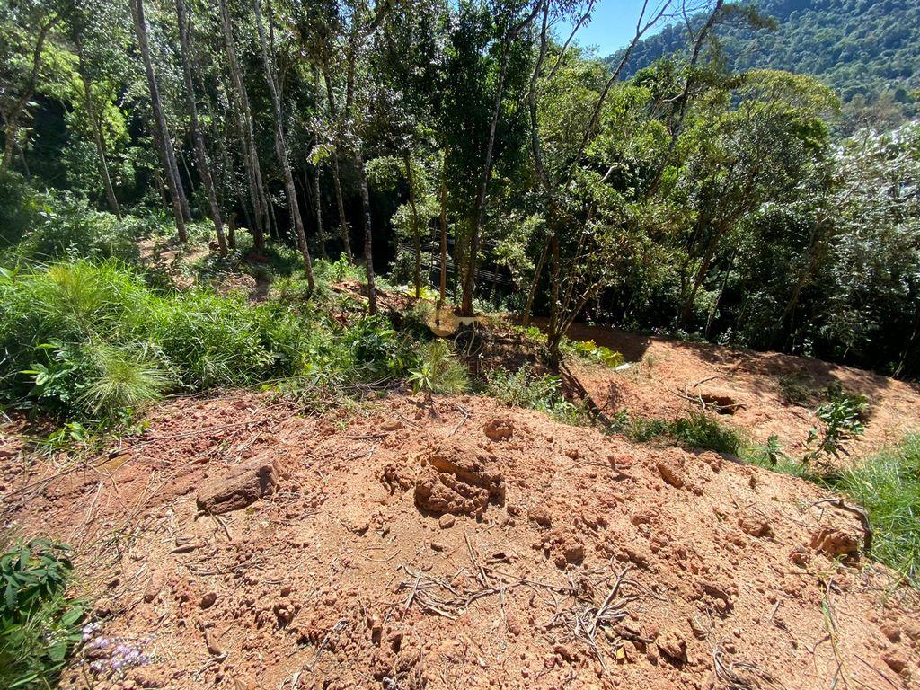 Terreno Residencial à venda em Carlos Guinle, Teresópolis - RJ - Foto 6