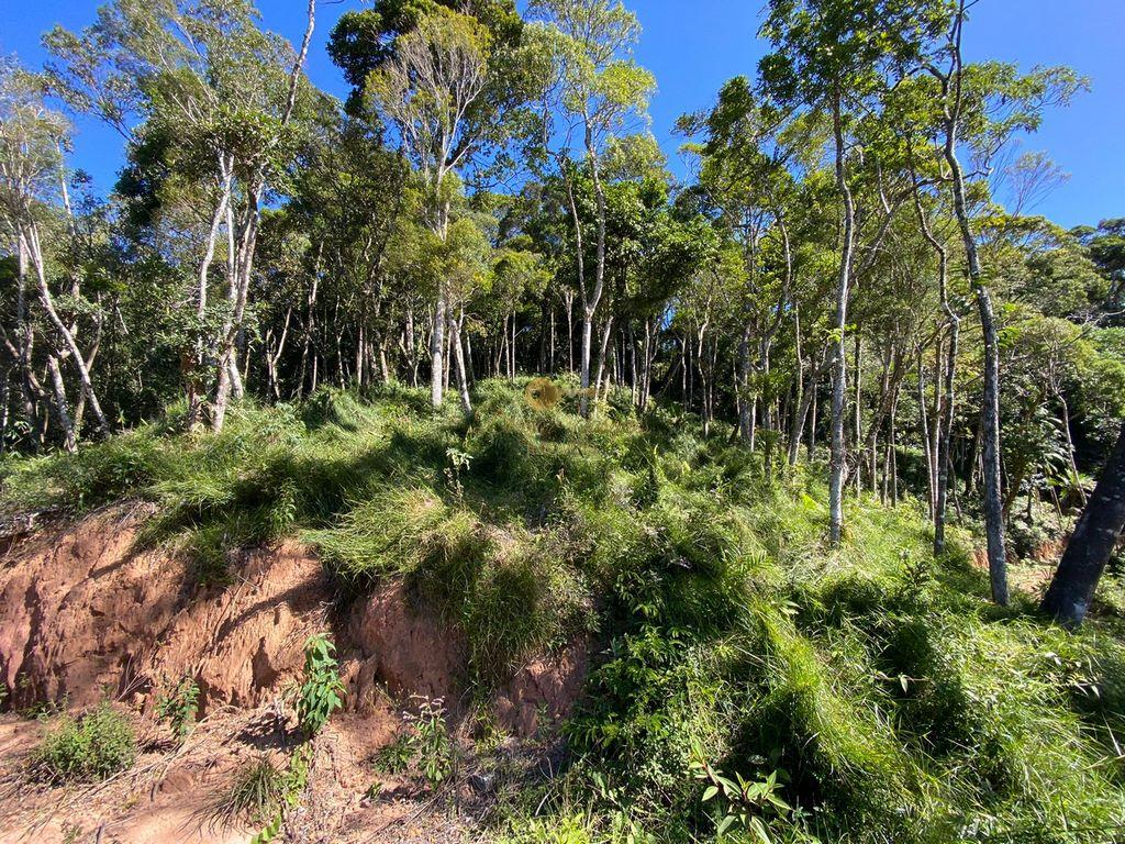 Terreno Residencial à venda em Carlos Guinle, Teresópolis - RJ - Foto 9