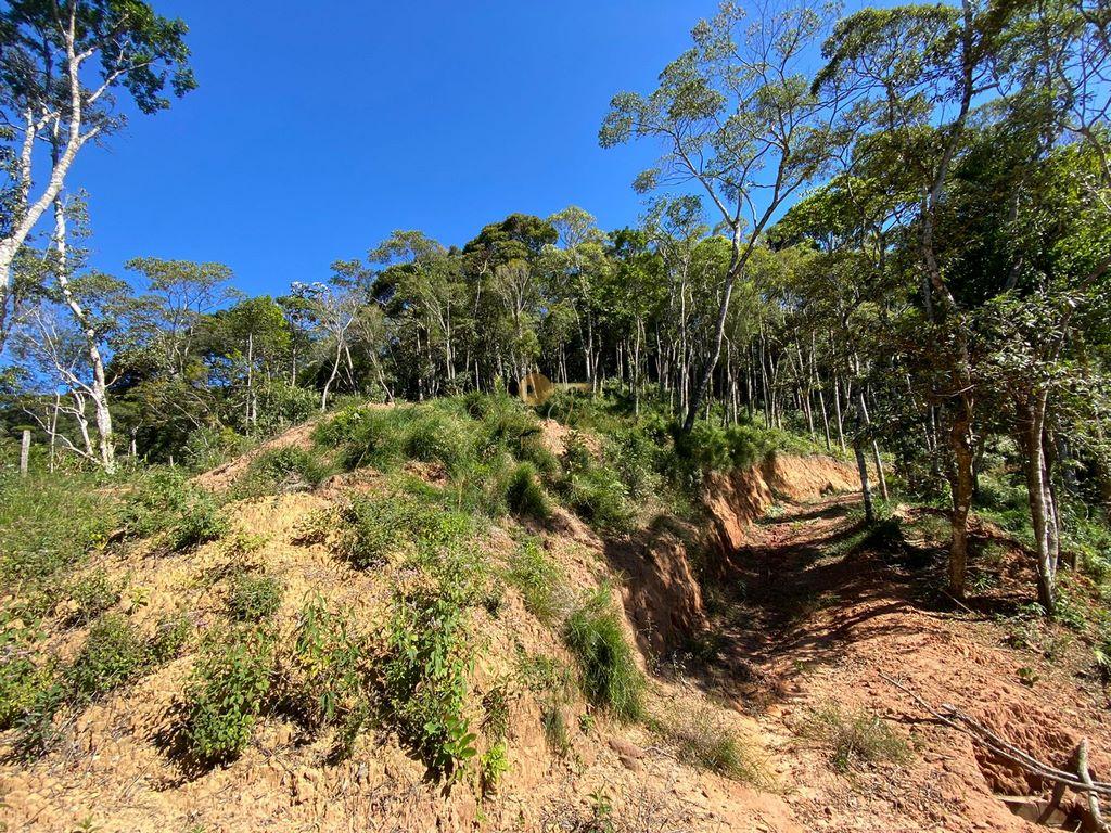 Terreno Residencial à venda em Carlos Guinle, Teresópolis - RJ - Foto 8