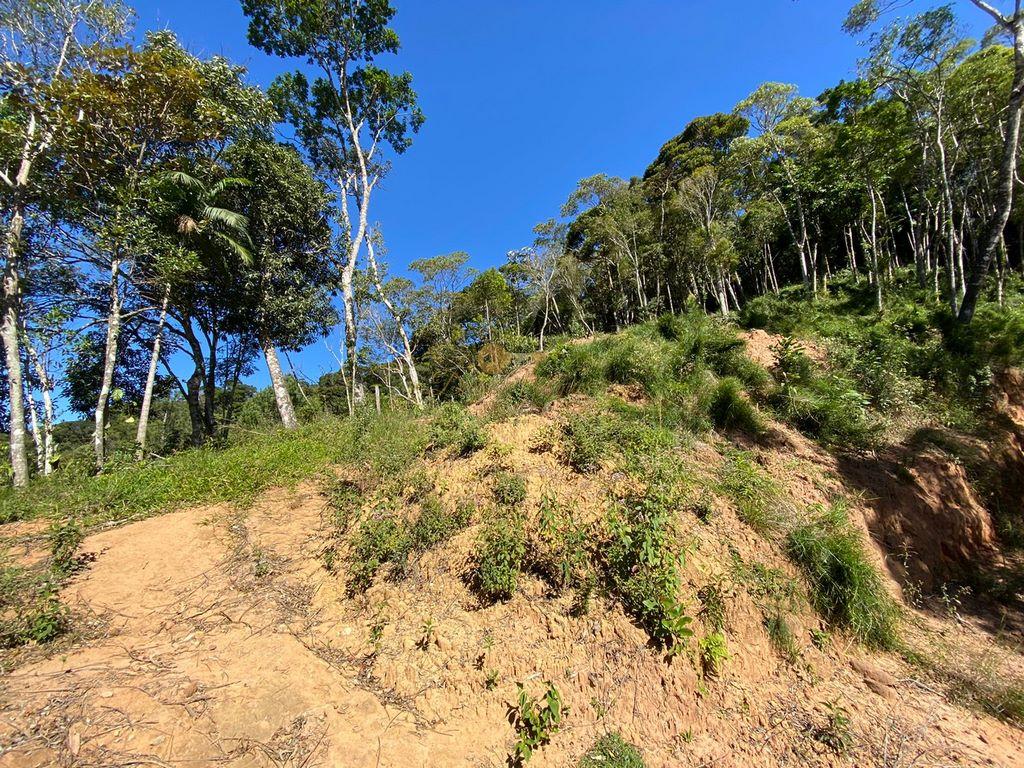 Terreno Residencial à venda em Carlos Guinle, Teresópolis - RJ - Foto 13