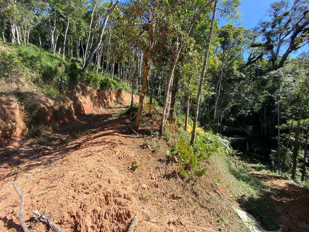 Terreno Residencial à venda em Carlos Guinle, Teresópolis - RJ - Foto 11