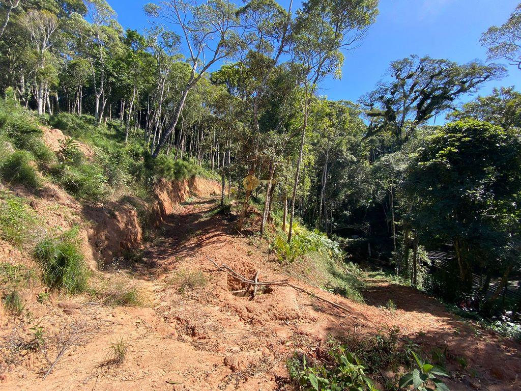 Terreno Residencial à venda em Carlos Guinle, Teresópolis - RJ - Foto 12