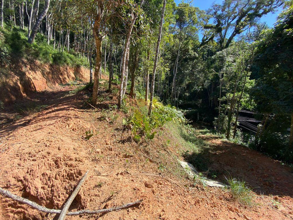 Terreno Residencial à venda em Carlos Guinle, Teresópolis - RJ - Foto 14