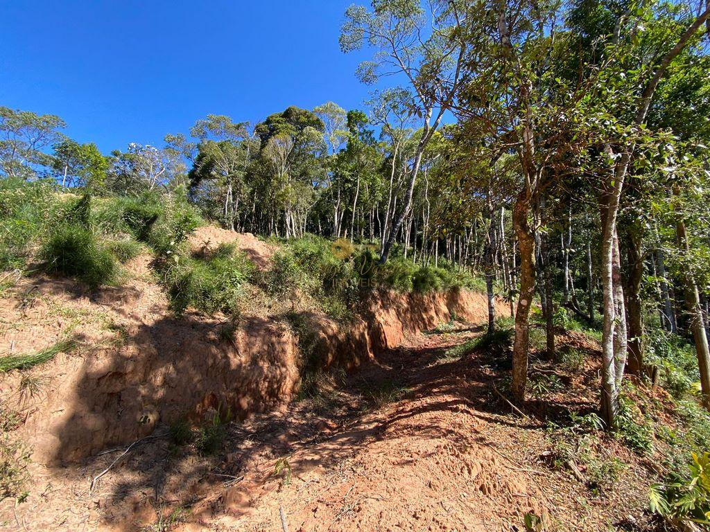 Terreno Residencial à venda em Carlos Guinle, Teresópolis - RJ - Foto 16