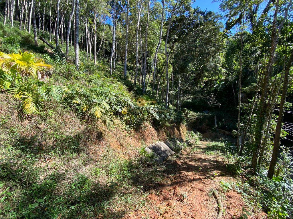 Terreno Residencial à venda em Carlos Guinle, Teresópolis - RJ - Foto 18
