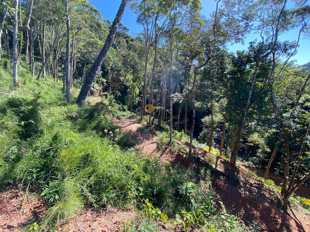 Terreno Residencial à venda em Carlos Guinle, Teresópolis - RJ - Foto 19