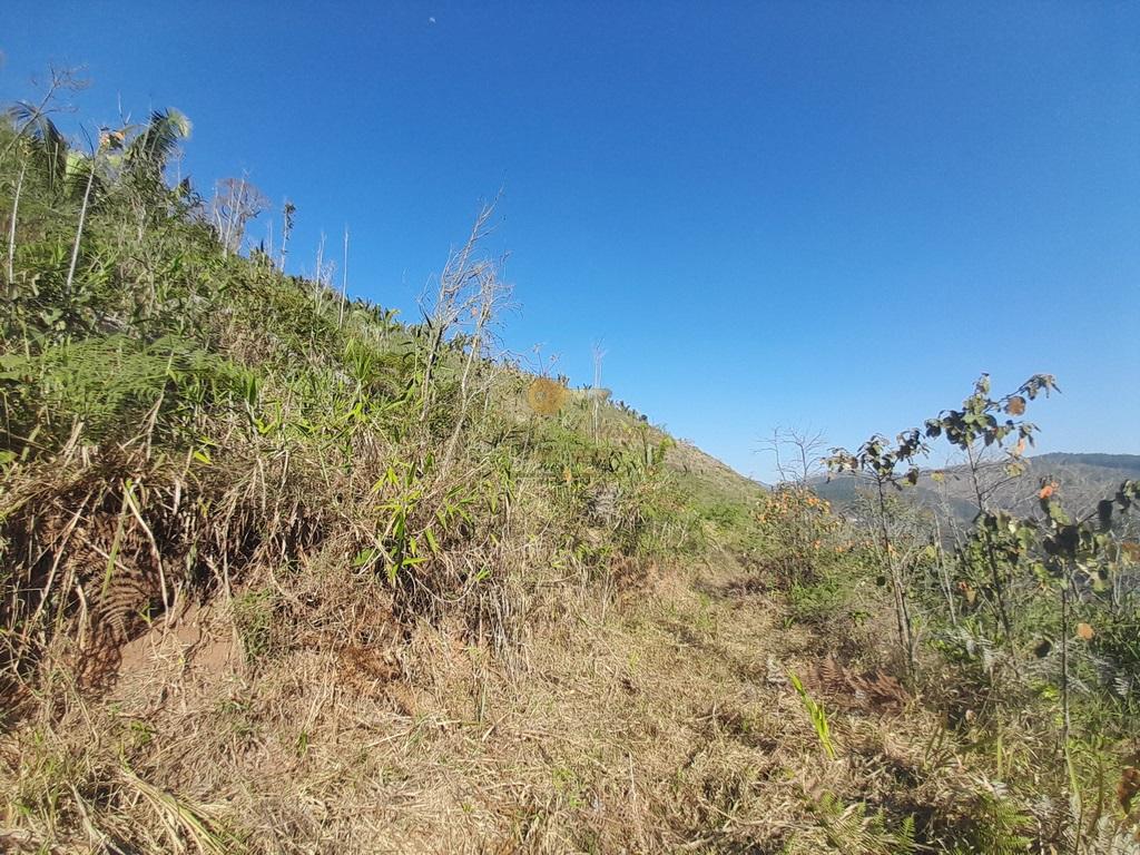 Terreno Residencial à venda em Vale Alpino, Teresópolis - RJ - Foto 15
