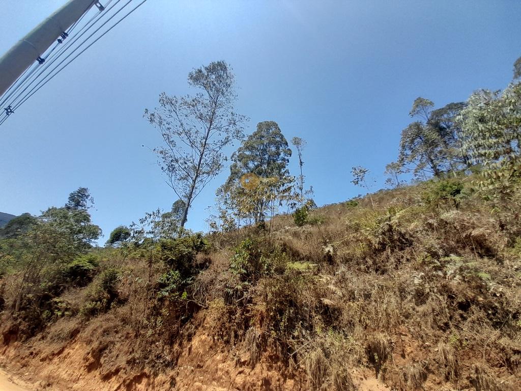 Terreno, 1000 m² - Foto 6