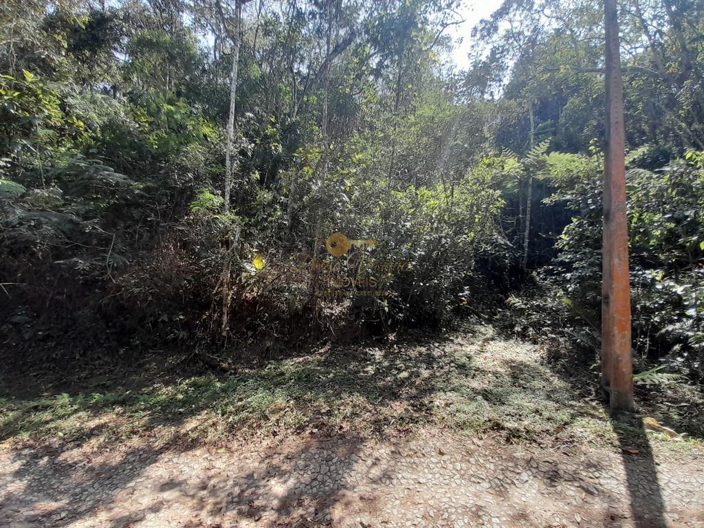 Terreno Residencial à venda em Vargem Grande, Teresópolis - RJ - Foto 3