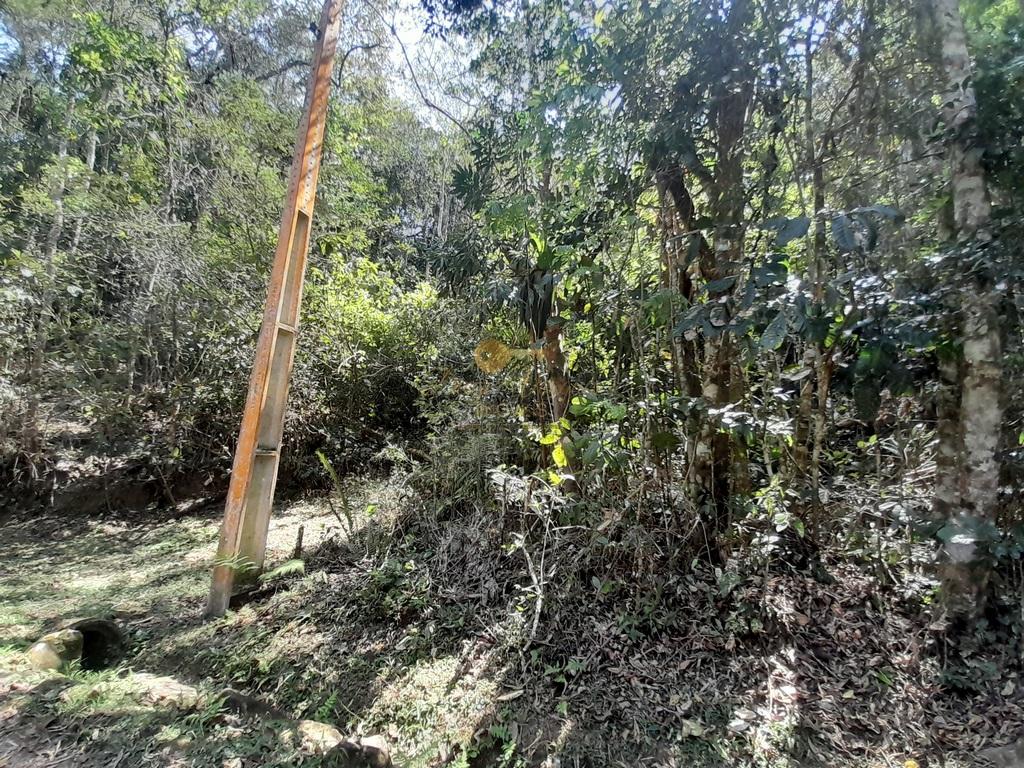 Terreno Residencial à venda em Vargem Grande, Teresópolis - RJ - Foto 2