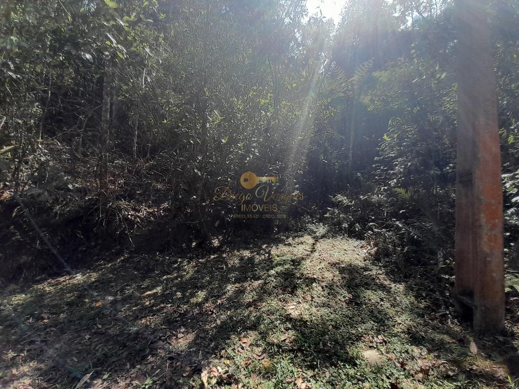 Terreno Residencial à venda em Vargem Grande, Teresópolis - RJ - Foto 5