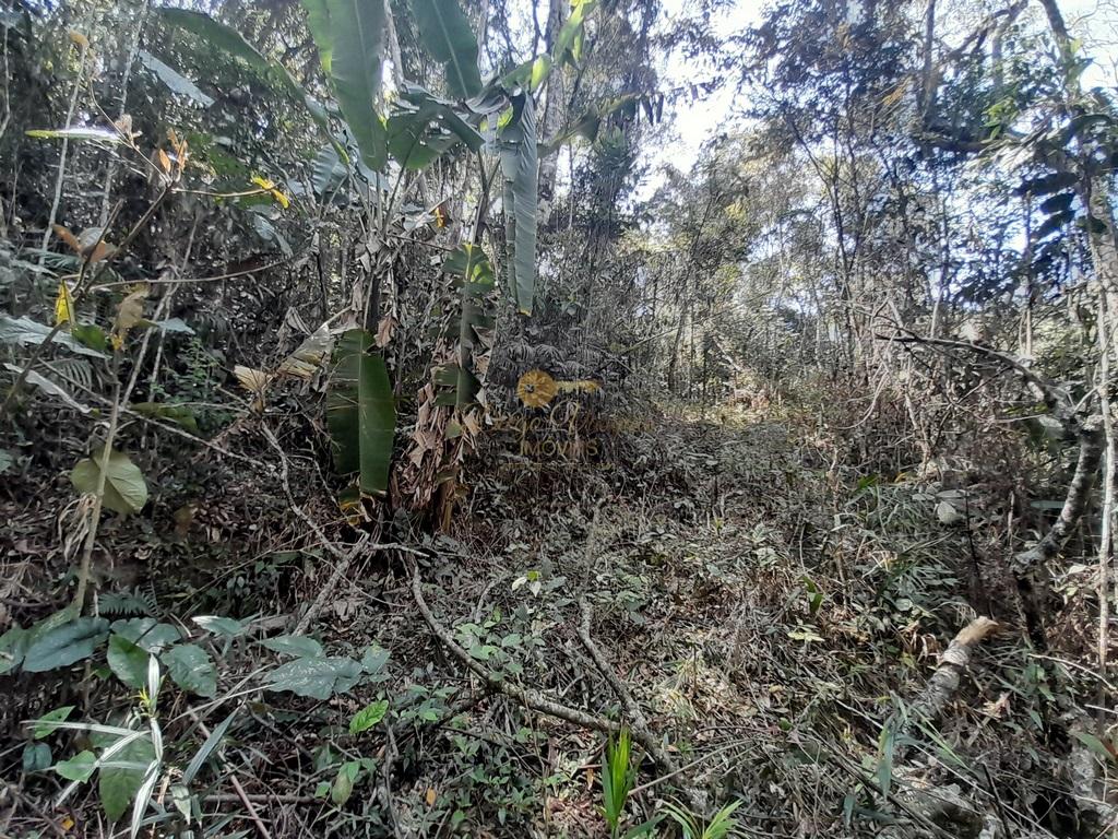 Terreno Residencial à venda em Vargem Grande, Teresópolis - RJ - Foto 4