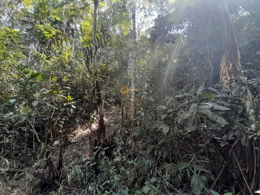 Terreno Residencial à venda em Vargem Grande, Teresópolis - RJ - Foto 6