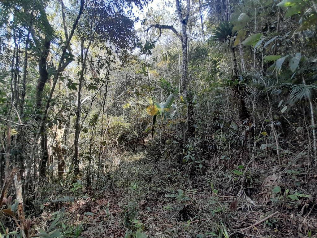 Terreno Residencial à venda em Vargem Grande, Teresópolis - RJ - Foto 7