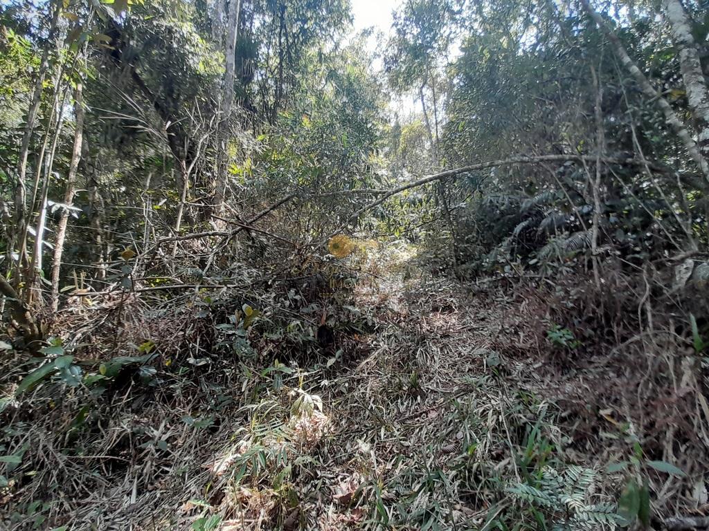Terreno Residencial à venda em Vargem Grande, Teresópolis - RJ - Foto 9