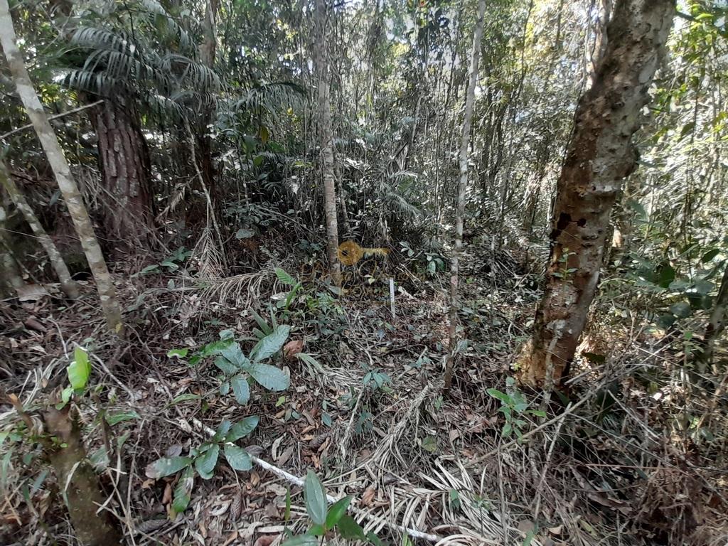 Terreno Residencial à venda em Vargem Grande, Teresópolis - RJ - Foto 8