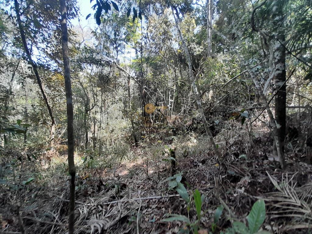 Terreno Residencial à venda em Vargem Grande, Teresópolis - RJ - Foto 10