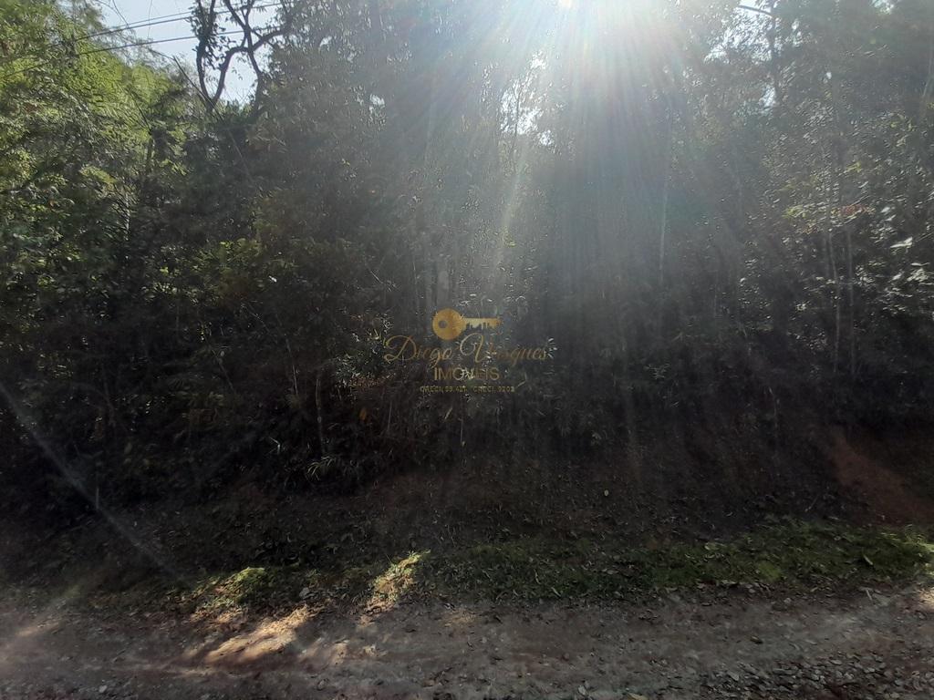 Terreno Residencial à venda em Vargem Grande, Teresópolis - RJ - Foto 12