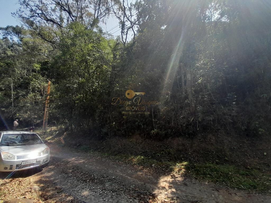 Terreno Residencial à venda em Vargem Grande, Teresópolis - RJ - Foto 13