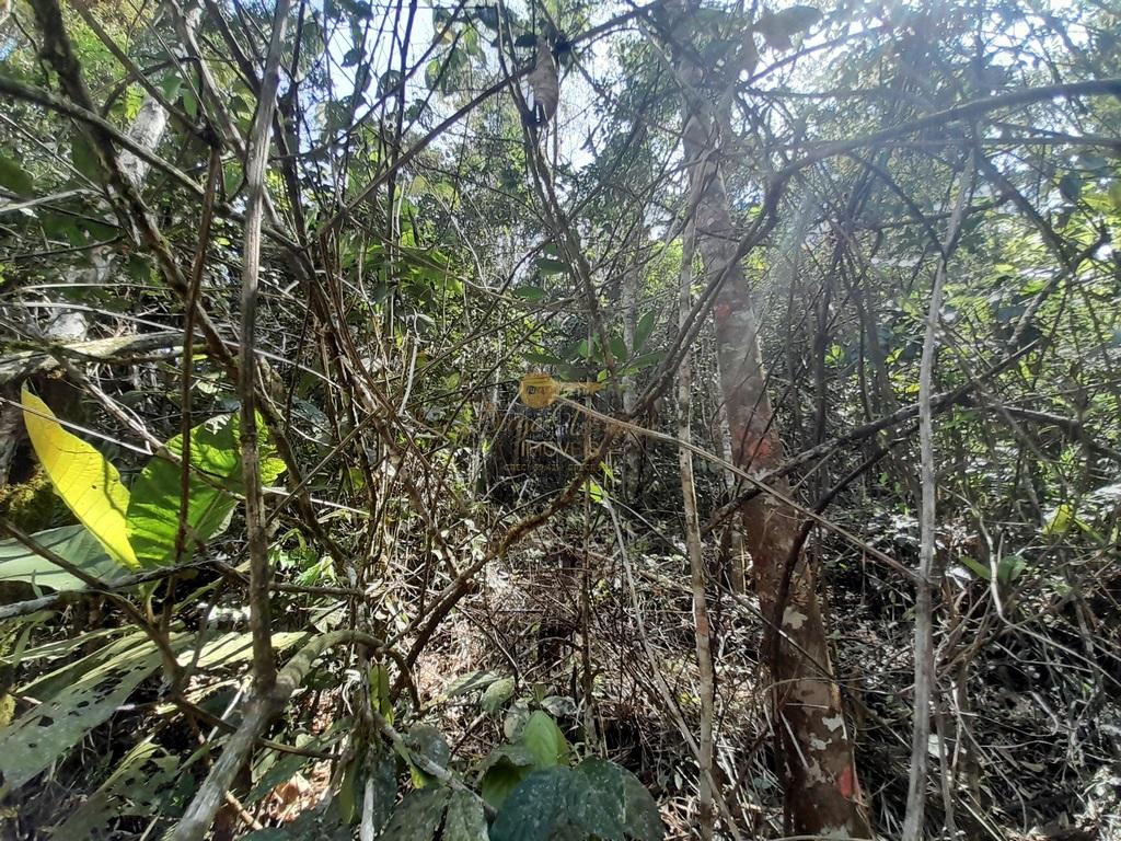 Terreno Residencial à venda em Vargem Grande, Teresópolis - RJ - Foto 11