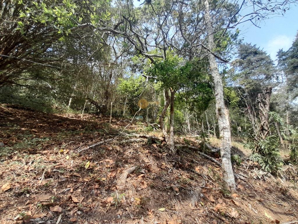 Casa à venda em Albuquerque, Teresópolis - RJ - Foto 39