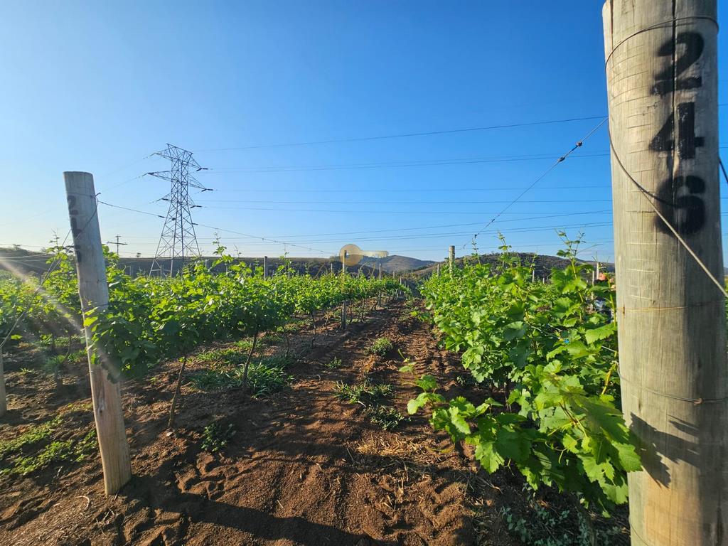 Terreno Residencial à venda em Mundo novo, Areal - RJ - Foto 28